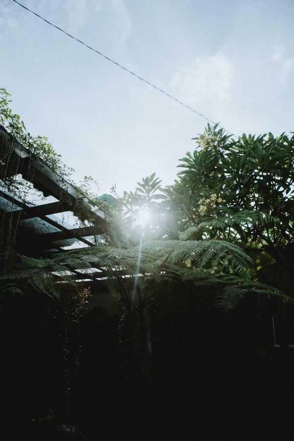 House Of Moedjito Hotel Yogyakarta Exterior photo